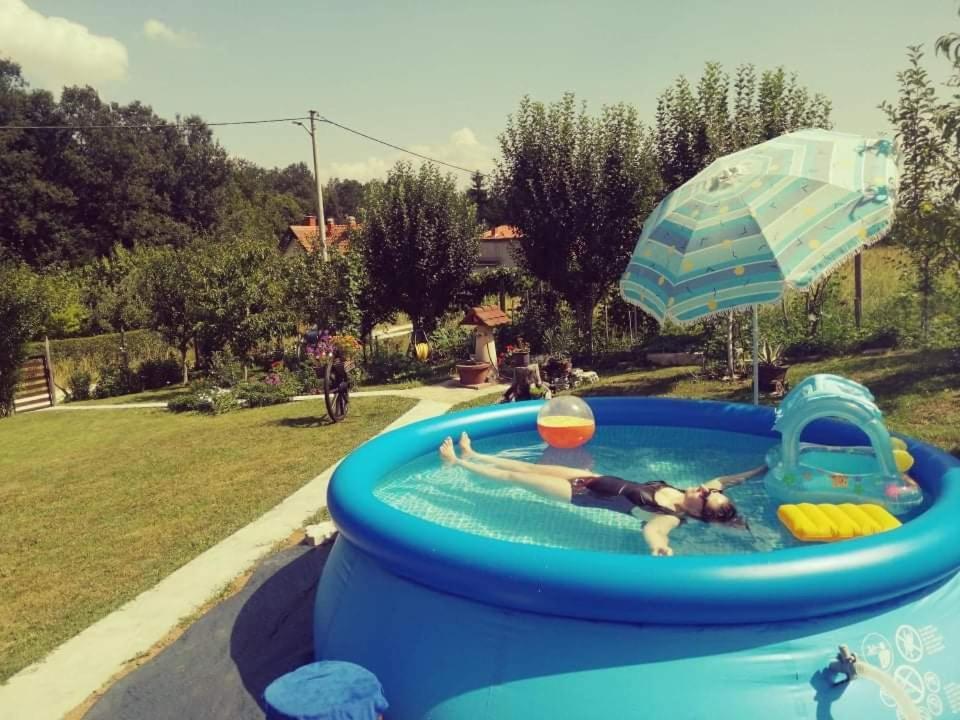 "Porodica Markovic" Borsko Jezero Beljevina Kültér fotó