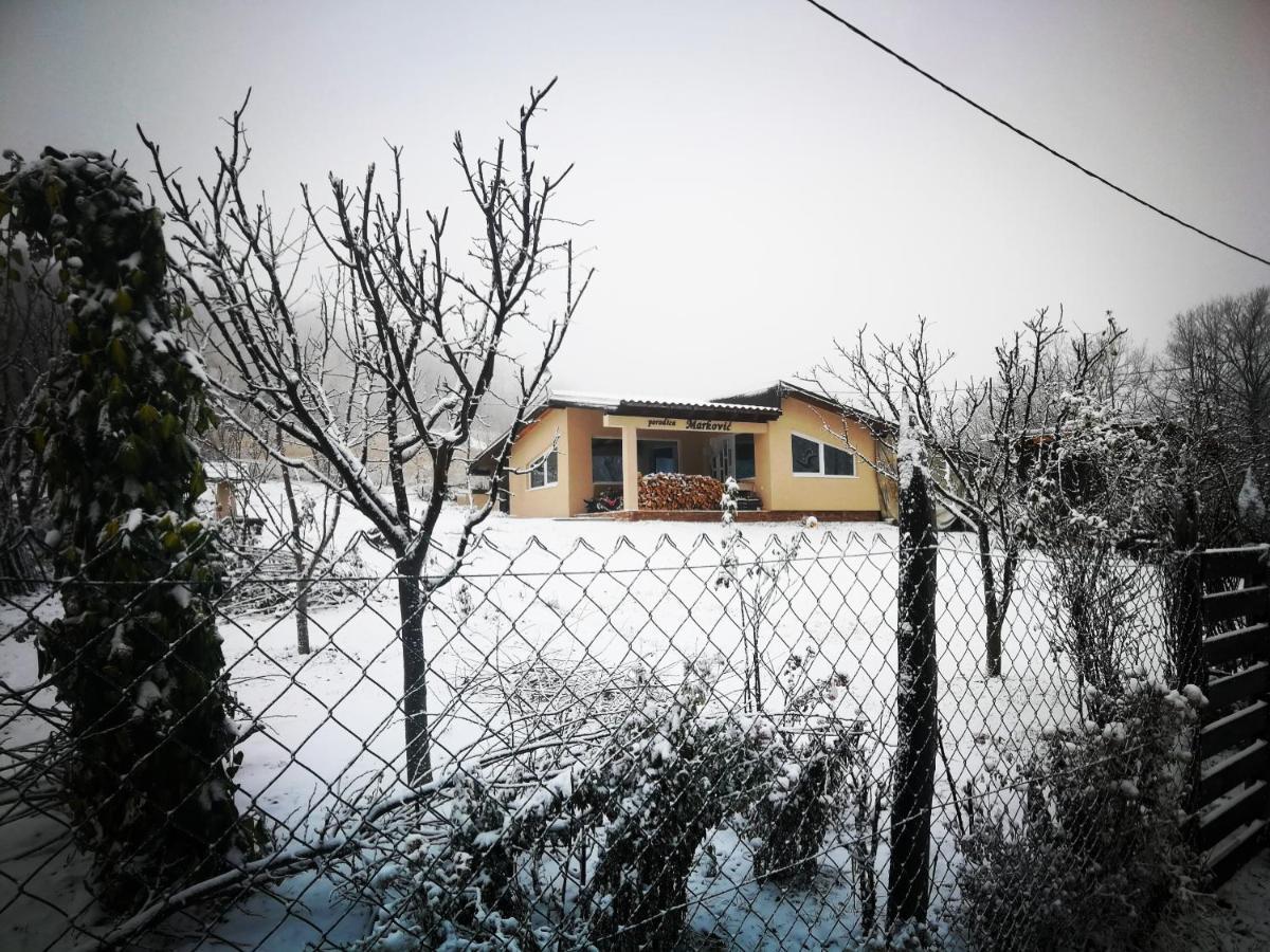 "Porodica Markovic" Borsko Jezero Beljevina Kültér fotó