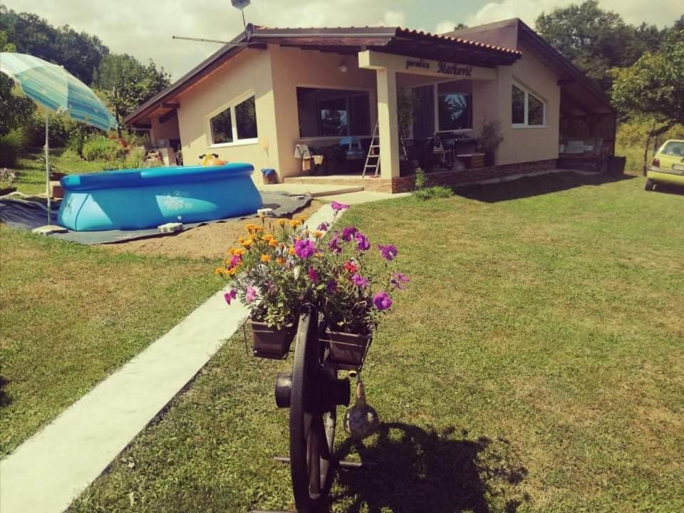 "Porodica Markovic" Borsko Jezero Beljevina Kültér fotó
